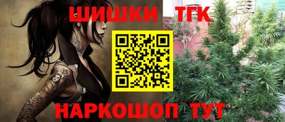 СК Славгород