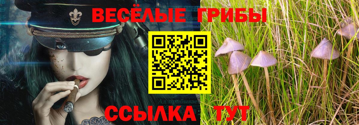 Галлюциногенные грибы мицелий  Галлюциногенные грибы GOLDEN TEACHER  Вход с VPN  Ликино-Дулёво 