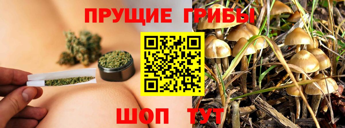 Псилоцибиновые грибы GOLDEN TEACHER Ликино-Дулёво